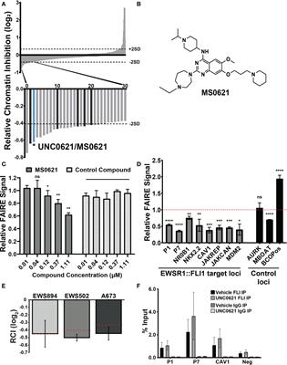 MS0621, a novel small-molecule modulator of Ewing sarcoma chromatin accessibility, interacts with an RNA-associated macromolecular complex and influences RNA splicing